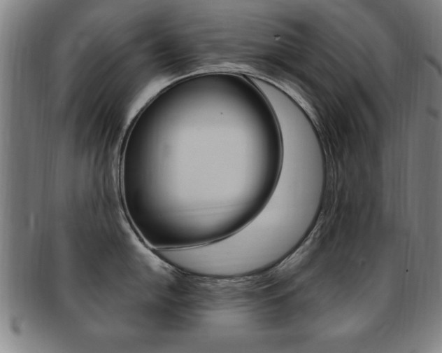 X0000091881054200709051011