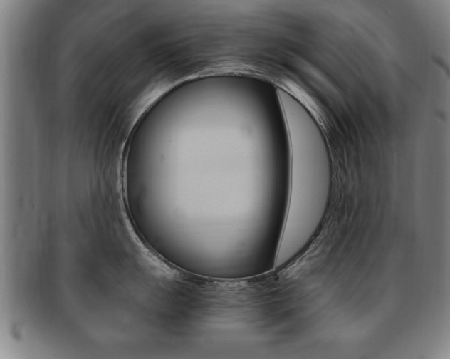 X0000091881055200709051011
