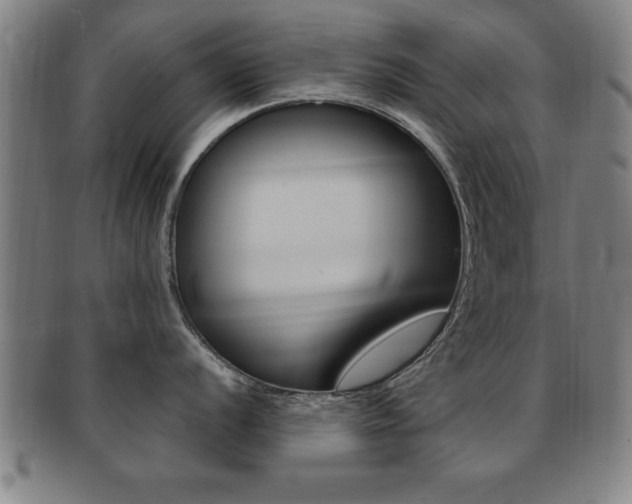 X0000091881056200709051011