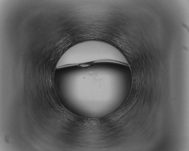 X0000091881058200709051010