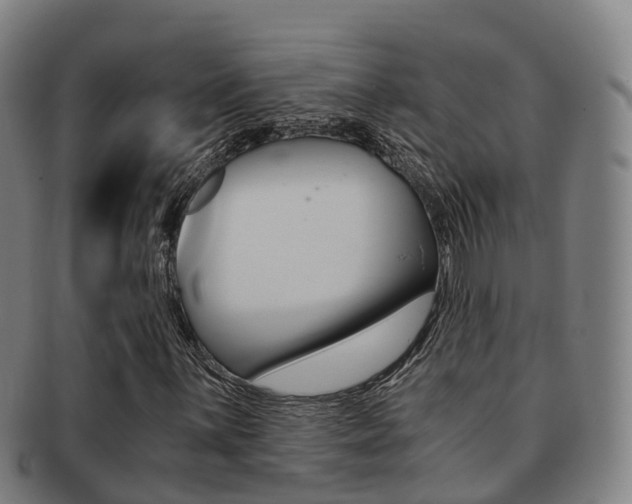 X0000091881059200709051010