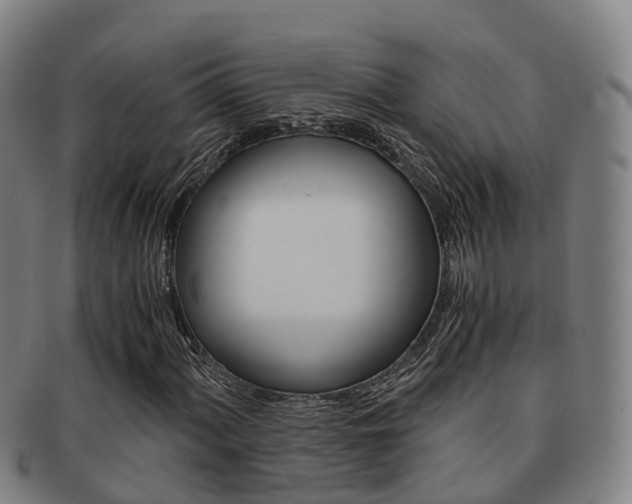 X0000091881060200709051010