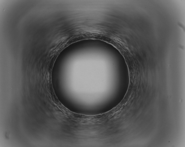 X0000091881061200709051010