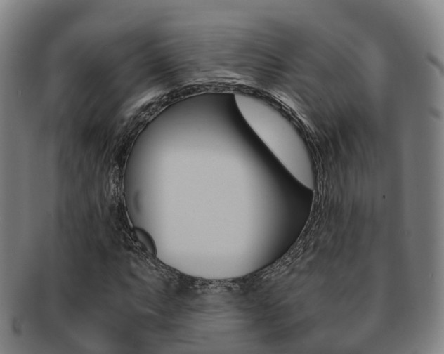 X0000091881063200709051010