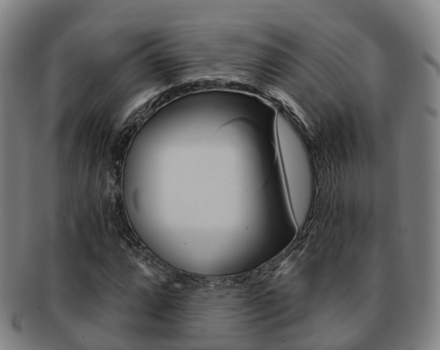 X0000091881064200709051010