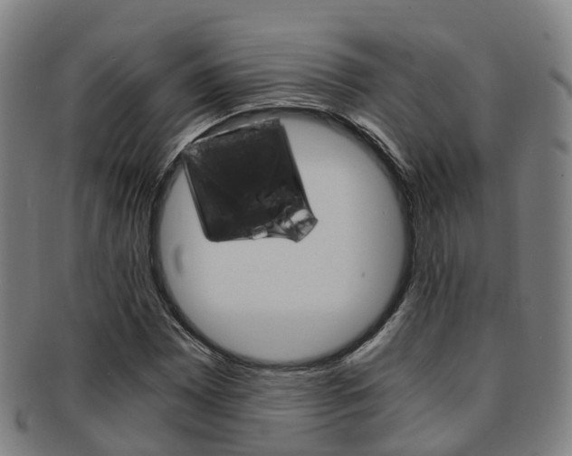 X0000091881065200709051010
