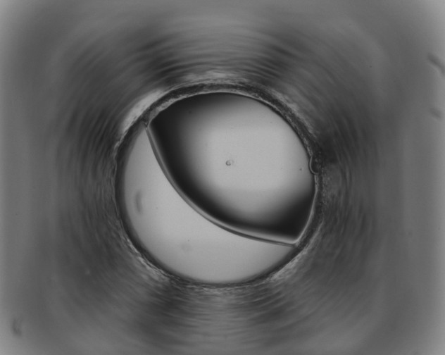 X0000091881066200709051010