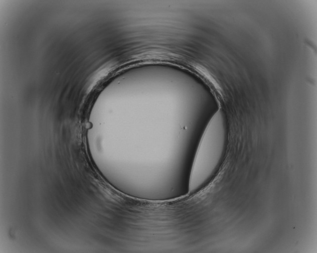 X0000091881067200709051010