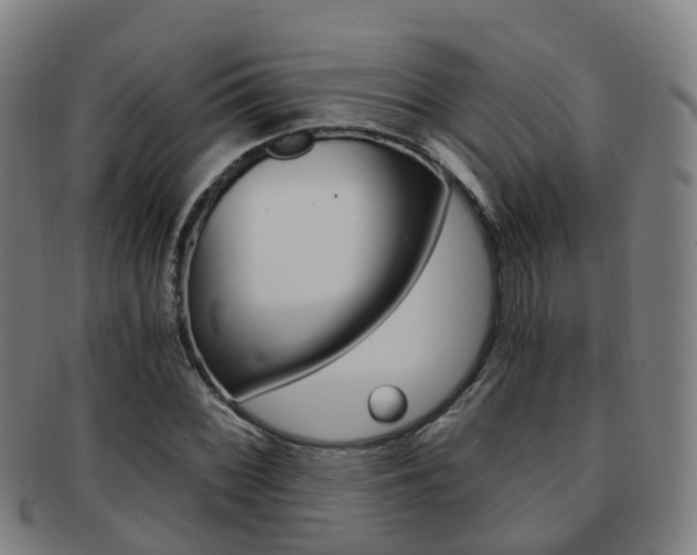 X0000091881068200709051010