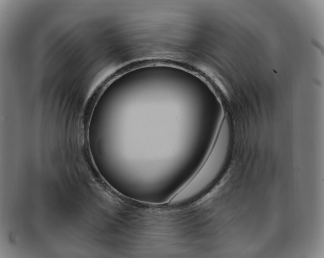 X0000091881069200709051010
