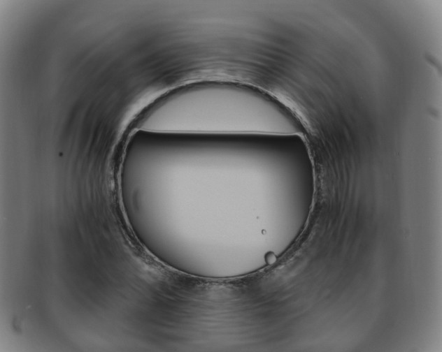 X0000091881070200709051010
