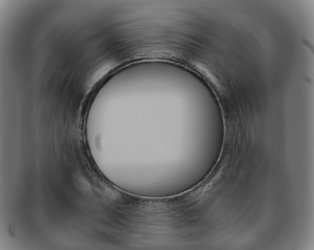X0000091881071200709051010