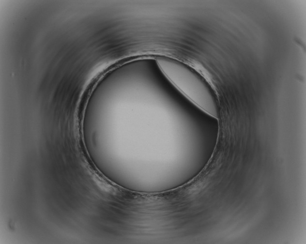 X0000091881072200709051010