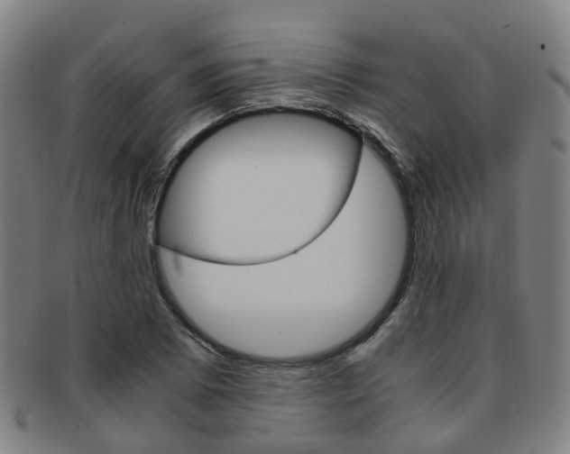 X0000091881073200709051010