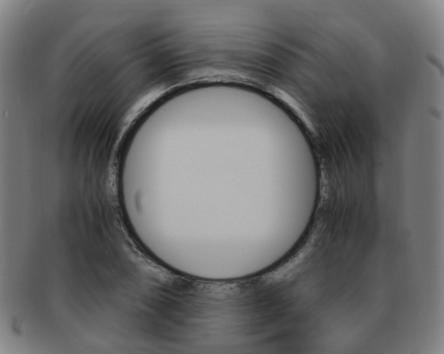 X0000091881074200709051010