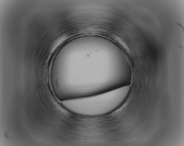 X0000091881075200709051010