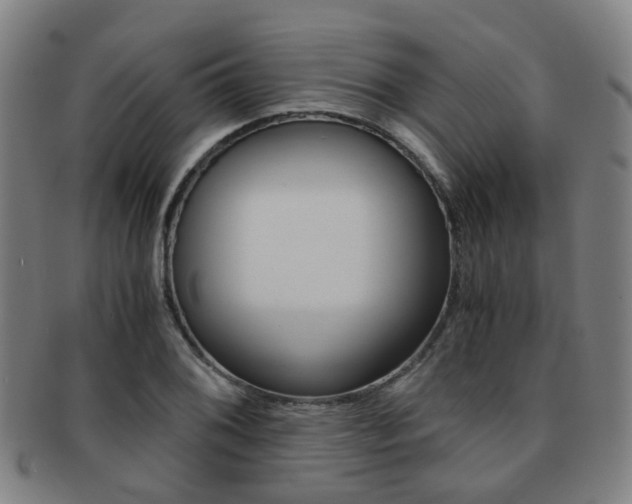 X0000091881076200709051010
