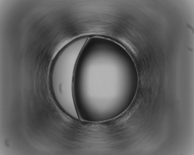 X0000091881077200709051010