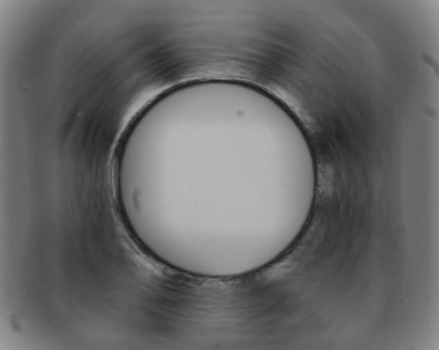 X0000091881078200709051010