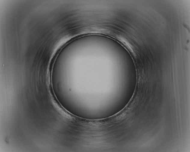 X0000091881080200709051010