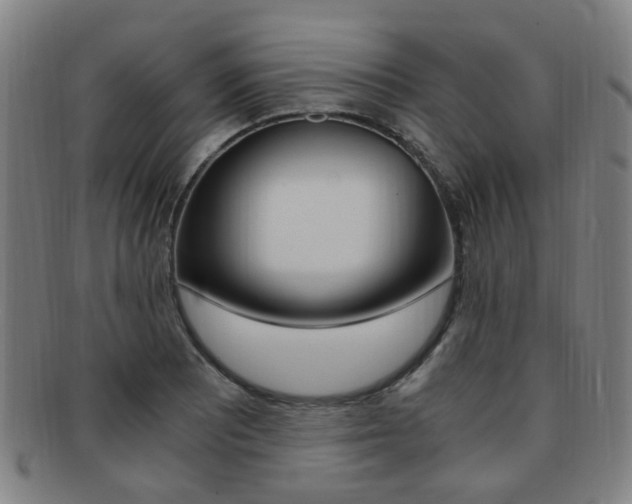 X0000091881081200709051010