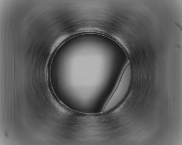 X0000091881082200709051010