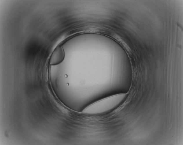 X0000091881083200709051010