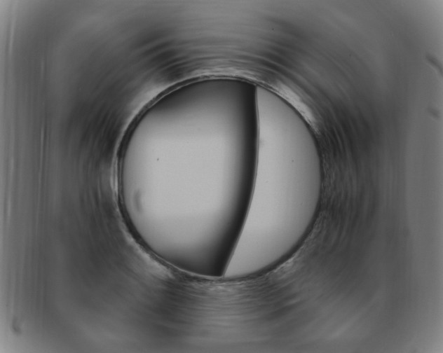 X0000091881084200709051010
