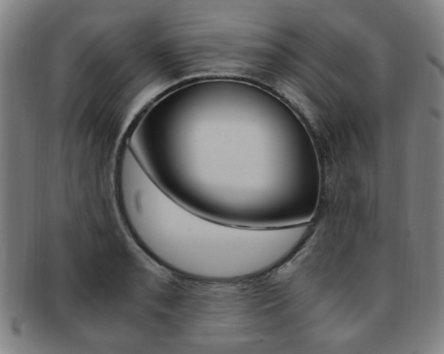 X0000091881085200709051010