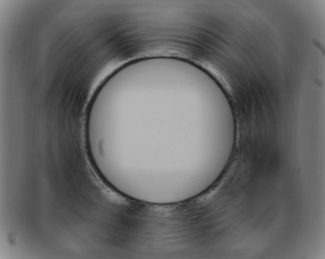 X0000091881086200709051010