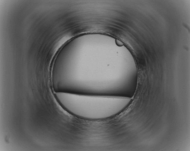 X0000091881087200709051010