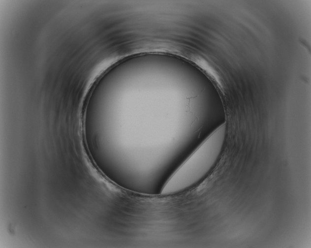 X0000091881088200709051010