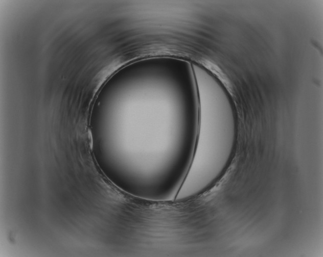 X0000091881089200709051010