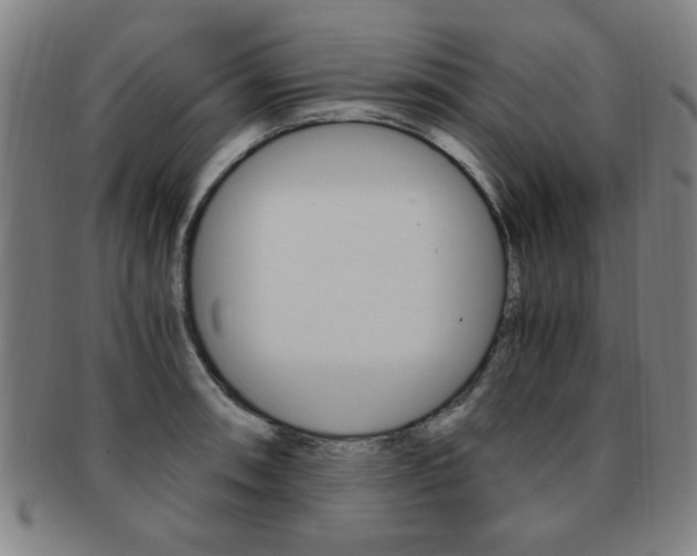 X0000091881090200709051010