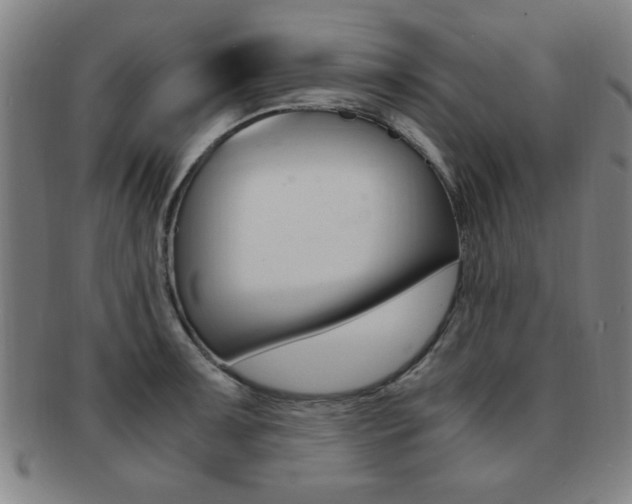 X0000091881091200709051010