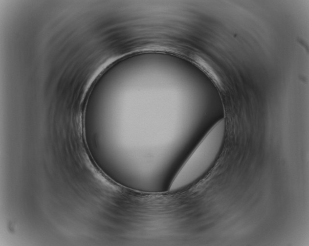 X0000091881092200709051010