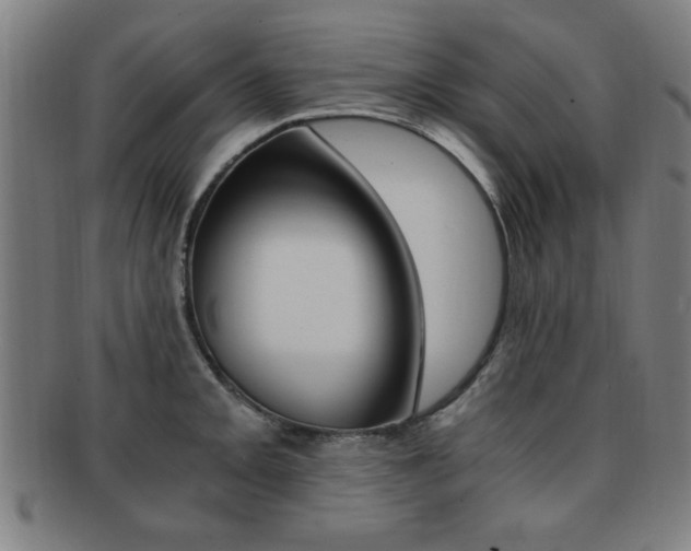 X0000091881093200709051010