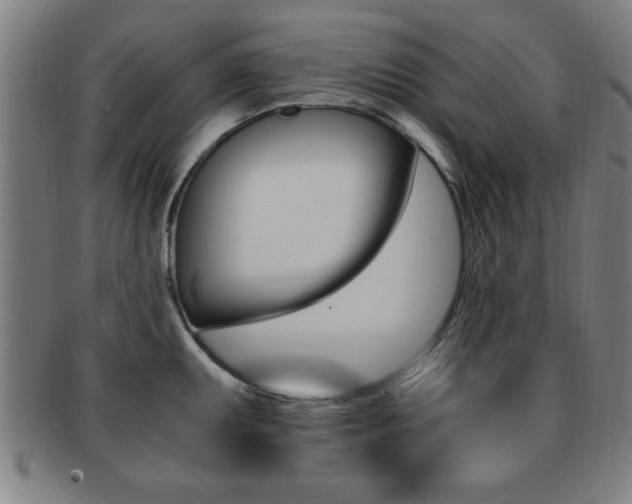 X0000091881095200709051010