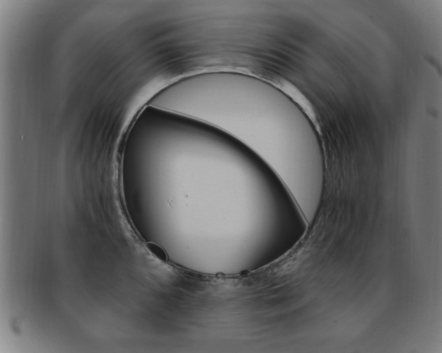 X0000091881096200709051010