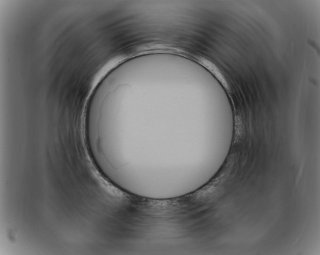X0000091881098200709051010