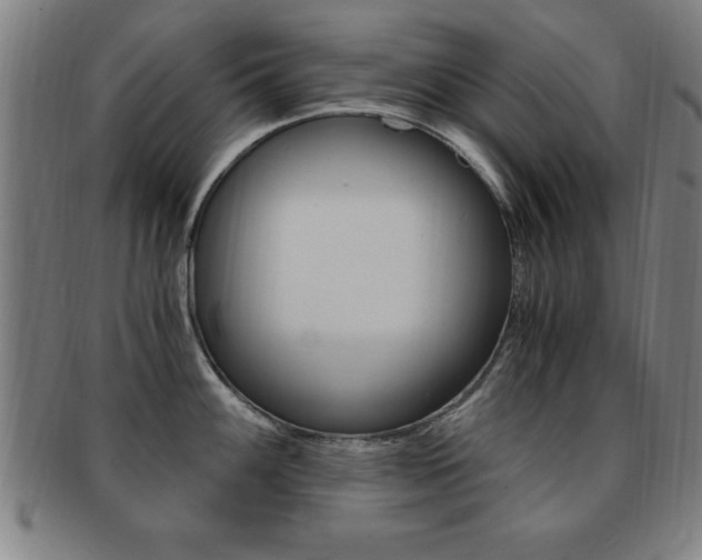 X0000091881100200709051010