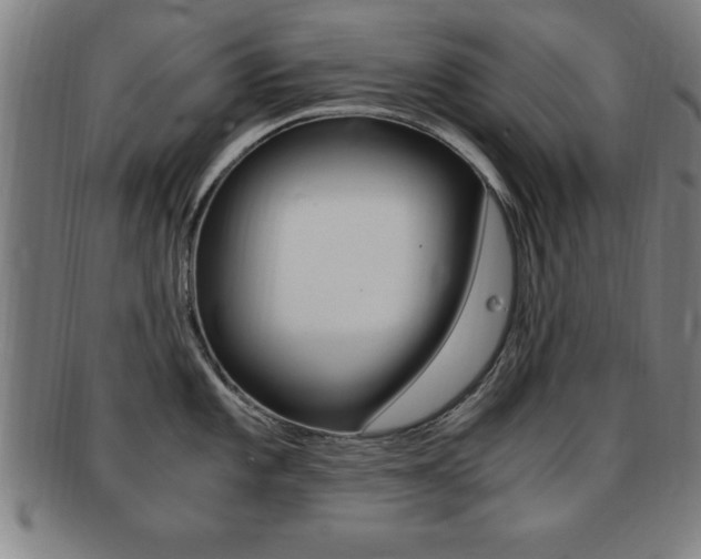 X0000091881101200709051010