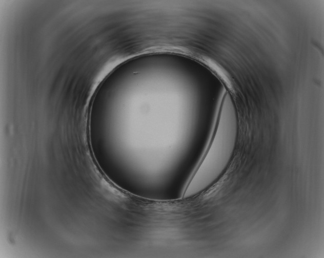 X0000091881102200709051010