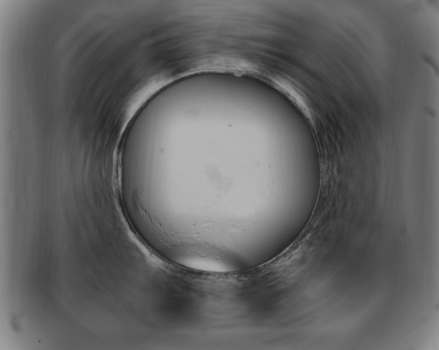 X0000091881103200709051010