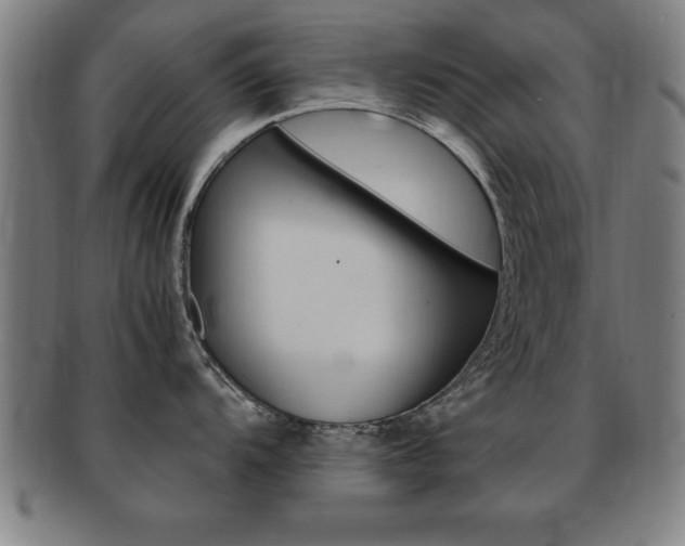 X0000091881104200709051010