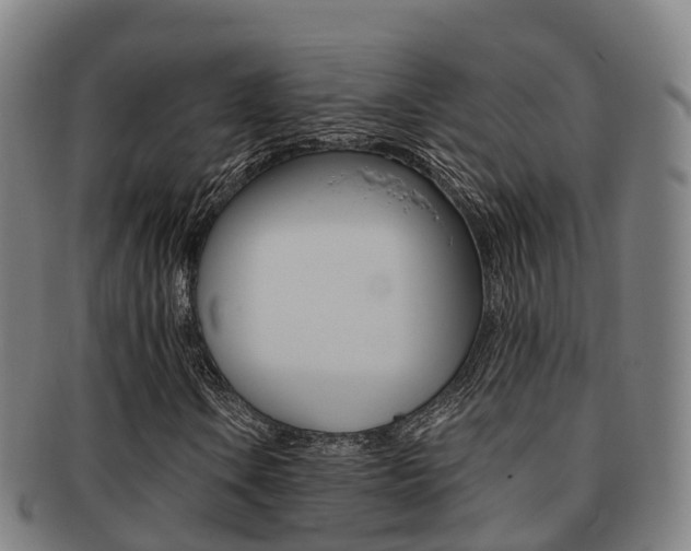X0000091881106200709051009
