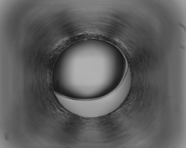 X0000091881110200709051009