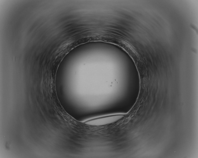 X0000091881111200709051009