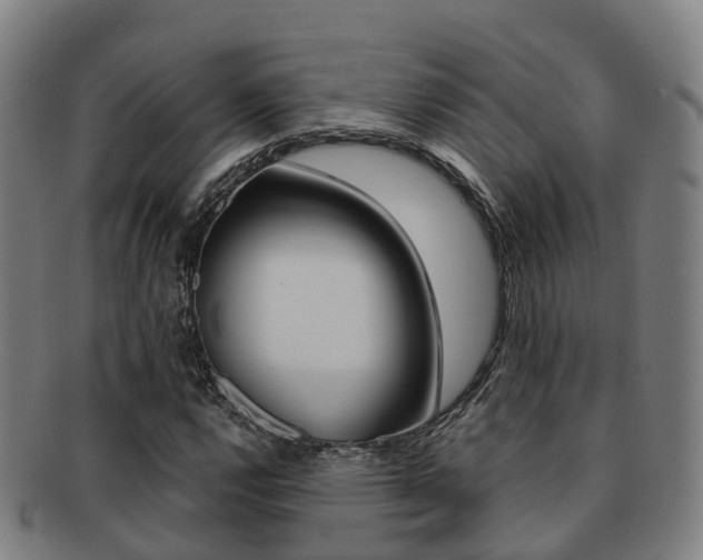 X0000091881112200709051009