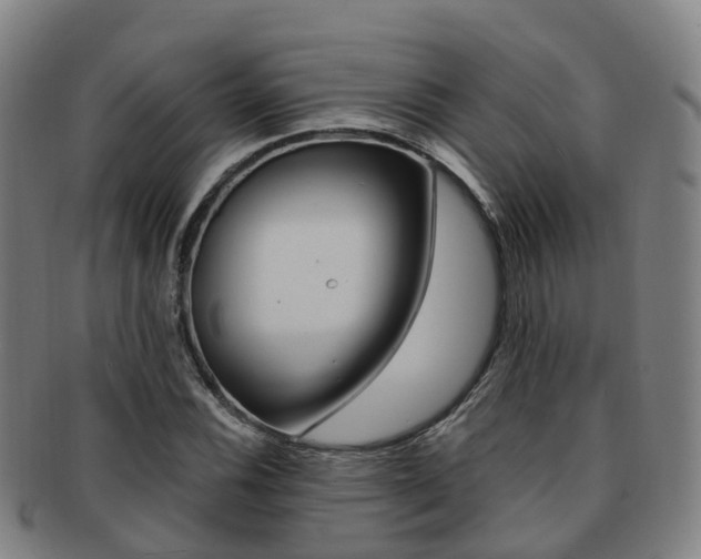 X0000091881116200709051009